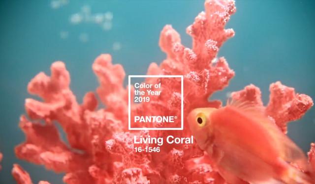 Living Coral è il colore dell'anno